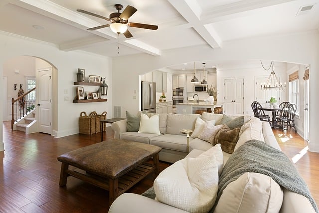 Ventiladores de techo.